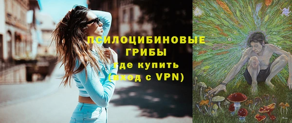 спайс Алексин