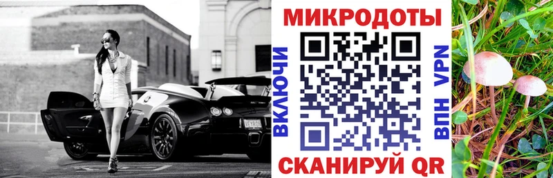 цена наркотик  Богородицк  Галлюциногенные грибы Psilocybe 